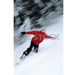 WINTER SPORTS 78